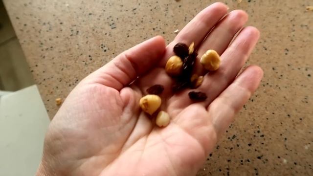 vlog 5.12? АНАЛИЗЫ / ДУБАРЬ / ЧТО НУЖНО ДЛЯ ЩЕЙ / САМОДЕЛЬНЫЕ ГИРЛЯНДЫ И СНЕЖИНКИ смотреть онлайн