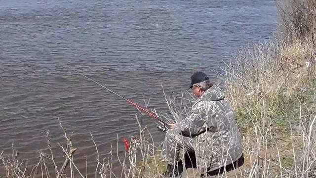 астраханская вобла вобла в астрахани Http://bogana-fish.ru/ ход воблы +в астрахани