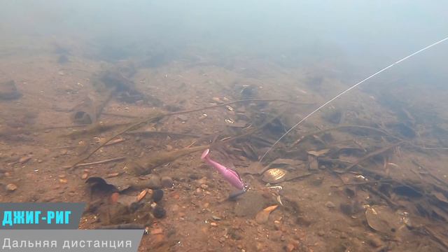 Моя статистика поклевок на Токио-Риг смотреть онлайн