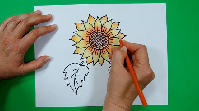How To Draw Sunflower. Ukrainian Flag. Ukraine. Україна. Як намалювати соняшник. Прапор України. смотреть онлайн