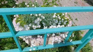 Красота рядом  Прогулка по городу Мытищи.