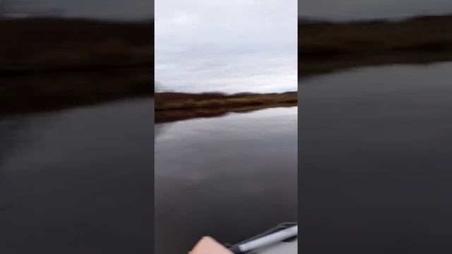 Сильверадо 33s под Хондой 10 сил смотреть онлайн