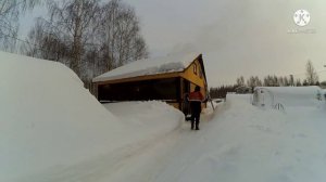 Чищу снег с крыши один! Как самому почистить снег с крыши с помощью верёвки без лопаты и скребка