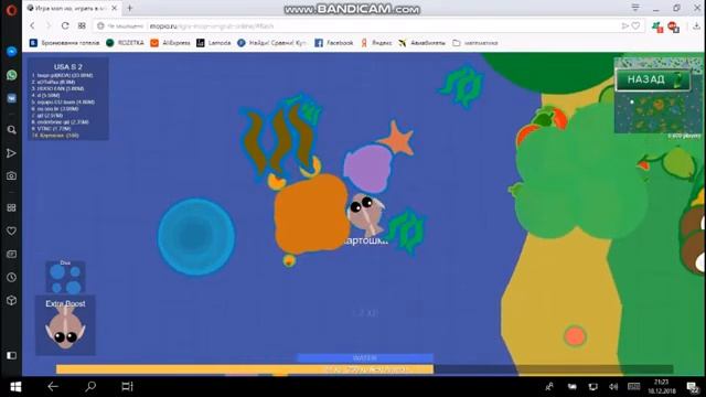 Обзор игры Mope.io