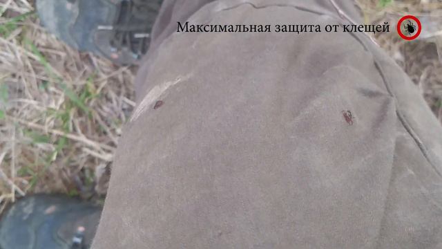 Лучшая защита от клещей - Костюм биостоп и гардекс смотреть онлайн