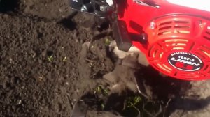 Установка китайского двигателя на культиватор Крот (www.motobobik.ru)