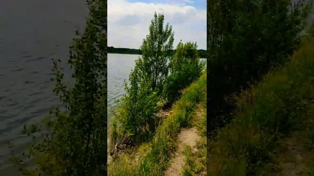Природа Донецкого края. Лето 2021 смотреть онлайн