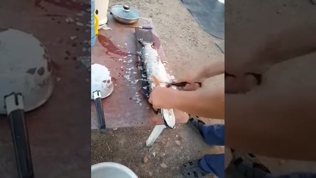 Чистка щуки, быстро, очень быстро! смотреть онлайн