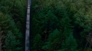 Голодные игры [дублированный трейлер]