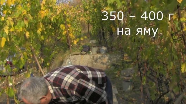 @Виноград 2018 Посадка саженца винограда смотреть онлайн