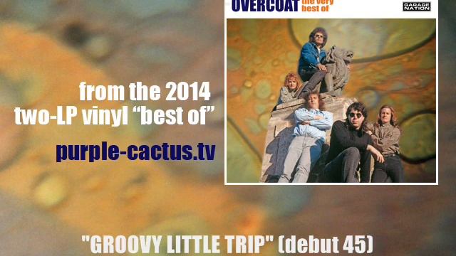 MARSHMALLOW OVERCOAT - Groovy Little Trip смотреть онлайн