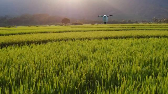 Introducing the revolutionary PowerEgg camera drone! смотреть онлайн