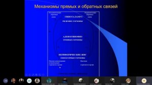 Железы внутренней секреции | Физиология