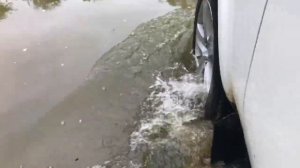 Краснодарский край - Планческая щель