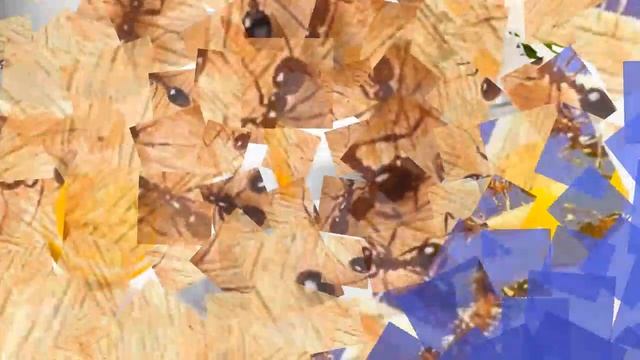 ПРИМЕТЫ , ПРИВЛЕКАЮЩИЕ УДАЧУ смотреть онлайн