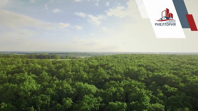 Агентство недвижимости "Риелтория". смотреть онлайн