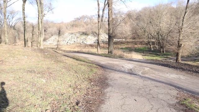 Парк Зеленый Гай Днепр | Районы и парки Днепра Красивый