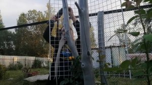 Опора для плетистой розы своими руками