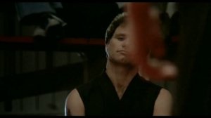 Парень Каратист Все бои Джонни Лоуренса