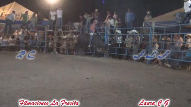 San Isidro El Organal Puebla Jugadas Ineditas 3 Dias De Jaripeo Atencingo смотреть онлайн