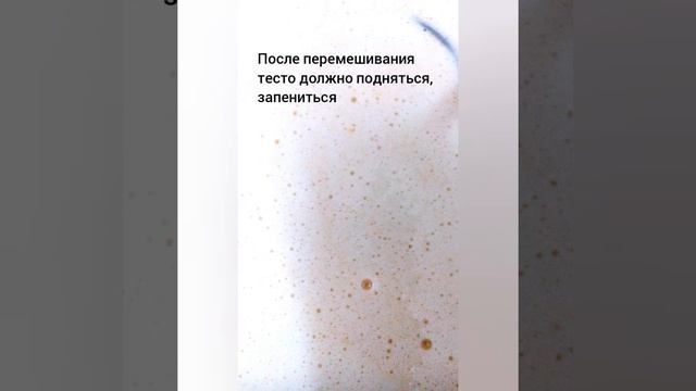 Любимая кухня с Ксенией