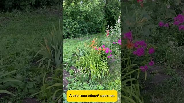 Июньские выходные