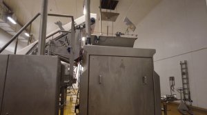 Как делают корм для кошек на заводе Мираторг