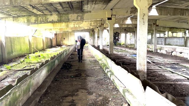 Neck Snap Unconscious / OTS Carry