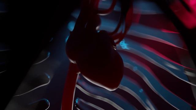 Доступные для каждого виды спорта смотреть онлайн