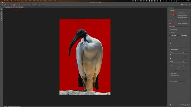 How To DARKEN Backgrounds Behind Plants & Animals смотреть онлайн