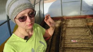 Посеяла немного трав. Видео привет с 6 соток 19 марта 2023 года.