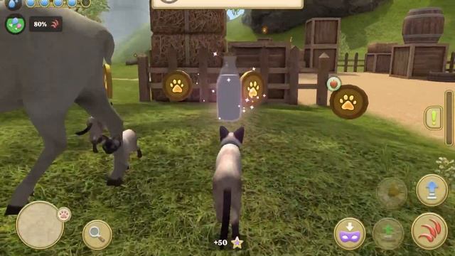Little Cat Simulator : Kitties Family NEW Baby Adventure Games iOS - Play Fun Cute Kitten #18 смотреть онлайн