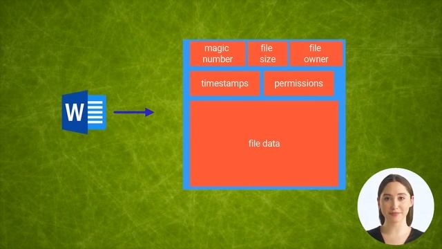 Understanding file formats and magic numbers смотреть онлайн
