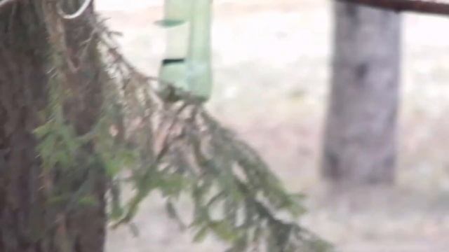 ДЯТЕЛ И КРУПА смотреть онлайн