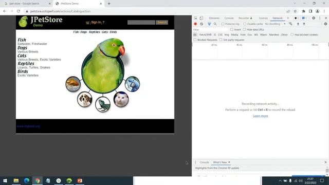Performance Testing using NeoLoad Demo Video смотреть онлайн