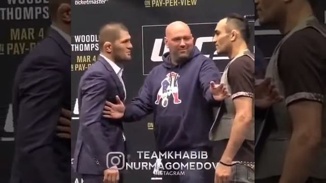 Хабиб Нурмагамедов тигр смотреть онлайн