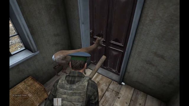 DayZ - Gotta Eat смотреть онлайн