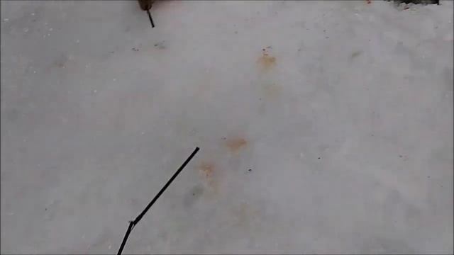 Рыбалка на верхнем продолжается.Клёвое место, Лосиный остров. смотреть онлайн