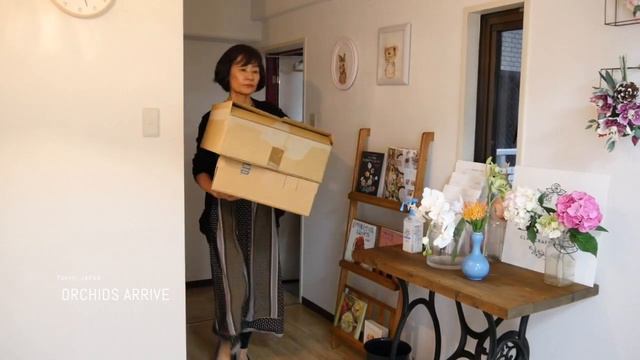 "Flowers Bring Us Together" 40th Anniversary of DECO Clay Craft Academy 大自然ハワイでクレイフラワーの巨大アーチが完成！ смотреть онлайн