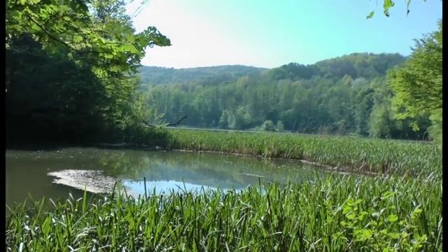 Самурское озеро смотреть онлайн