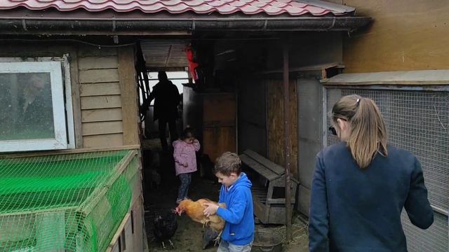 днюха у андрюхи DAG. дети в восторге. контактный зоопарк смотреть онлайн