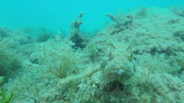 демонстрация работы системы стабилизации под водой смотреть онлайн