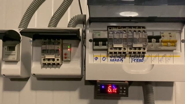 Полный обзор холодильной камеры для охлаждения укоренения и хранения тюльпанов смотреть онлайн