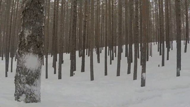 Зимний кубок 8 этап. Задняя камера смотреть онлайн