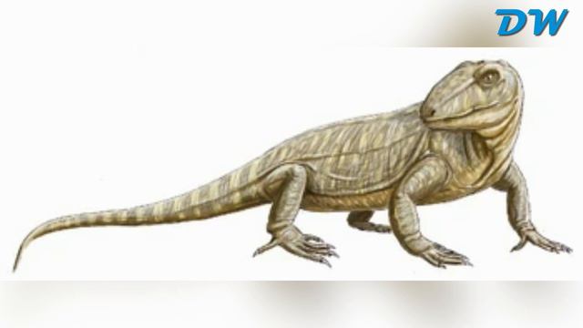 Эволюционнная история и классификация синапсид | Часть 1 смотреть онлайн