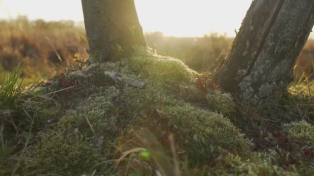 Выход из глубинных ограничений | Навейя смотреть онлайн