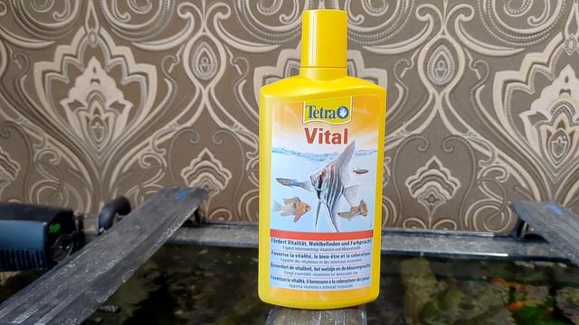 #tetra #tetravital Кондиционер Tetra Vital с йодом и витамином B 2 часть