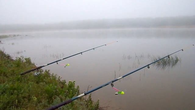 Рыбалка в Тельмановском районе смотреть онлайн