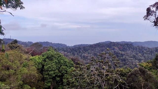 Penang Hill Malaysia | Top Things to Do in Penang Malaysia 2023 | The Habitat , Penang Hill #penang смотреть онлайн
