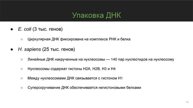 Строение нуклеиновых кислот смотреть онлайн